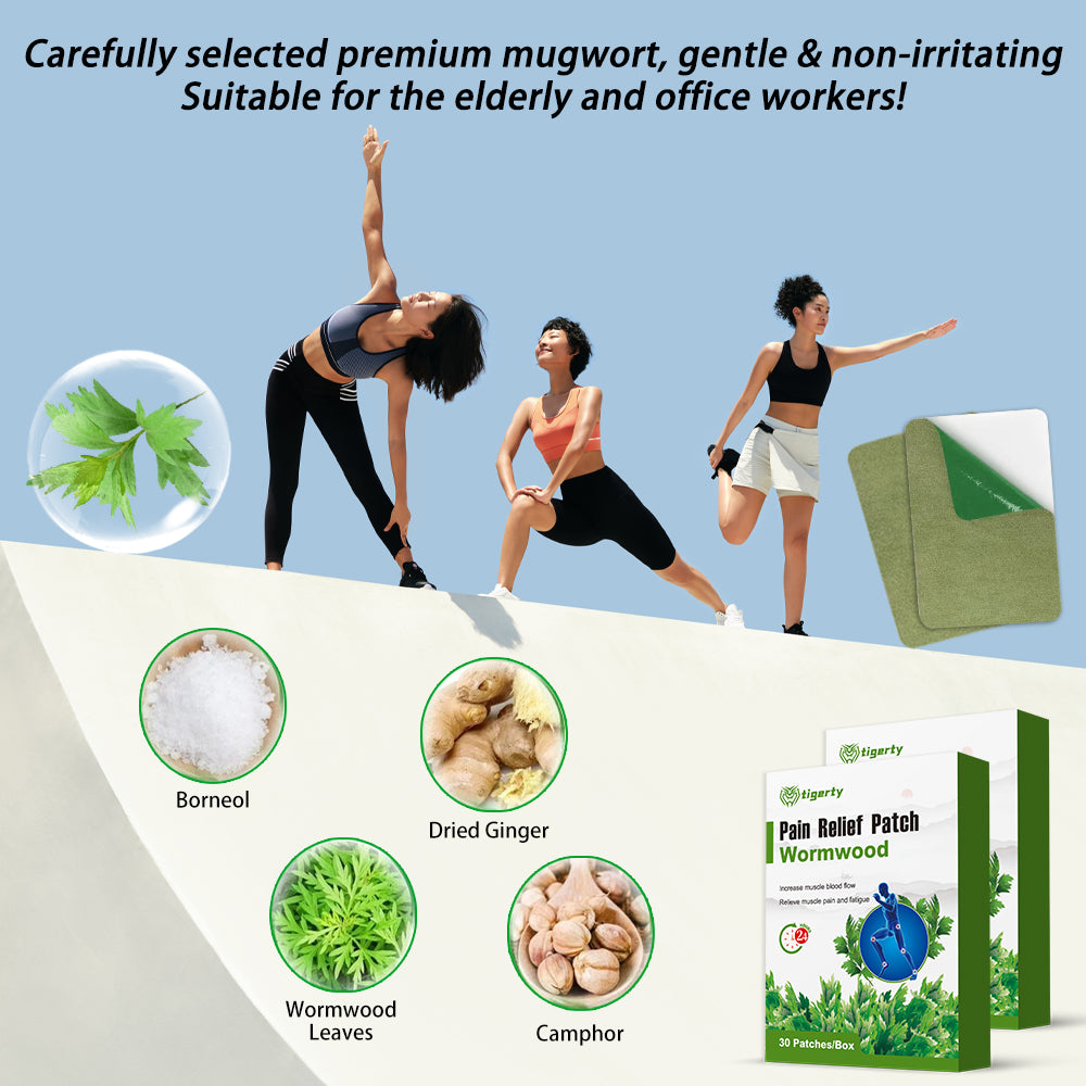 Artemisia annua pain relief patch 30 patches per box