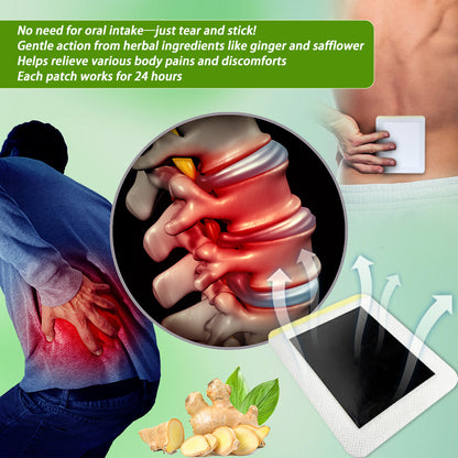 Rheumatism pain patch 10 pieces