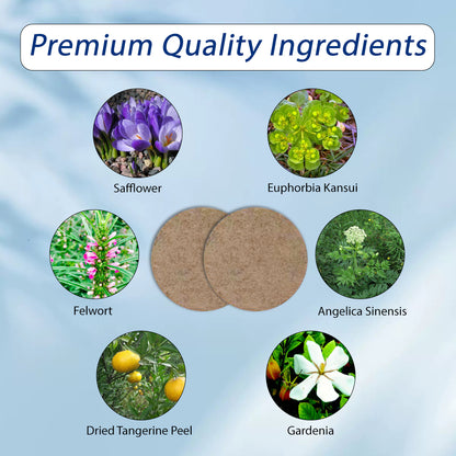 10 tigerty botanical tinnitus patches - 1 box
