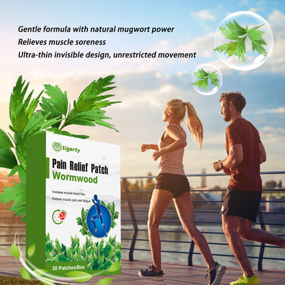 Artemisia annua pain relief patch 30 patches per box