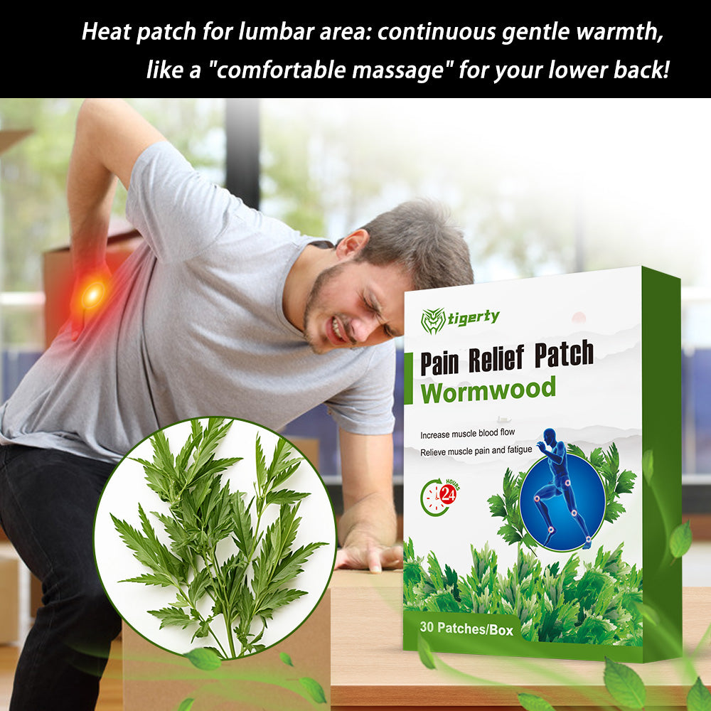 Artemisia annua pain relief patch 30 patches per box